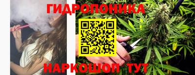 шишки Среднеуральск