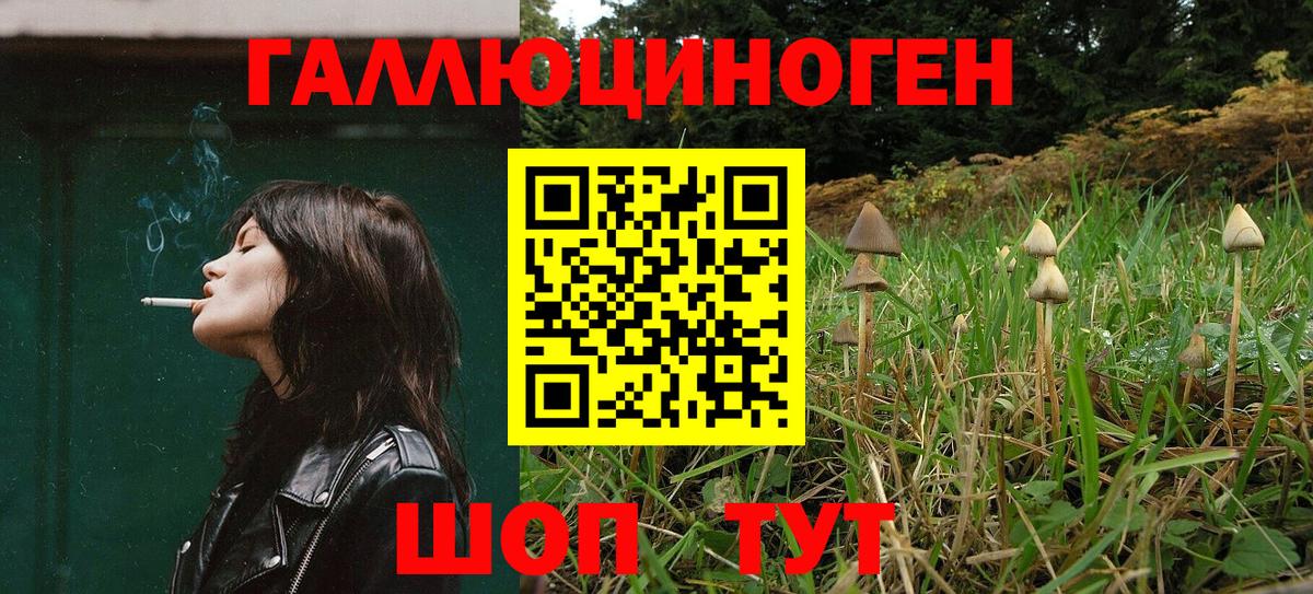 Псилоцибиновые грибы прущие грибы Отрадный